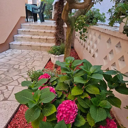 Asterix Apartman Pula