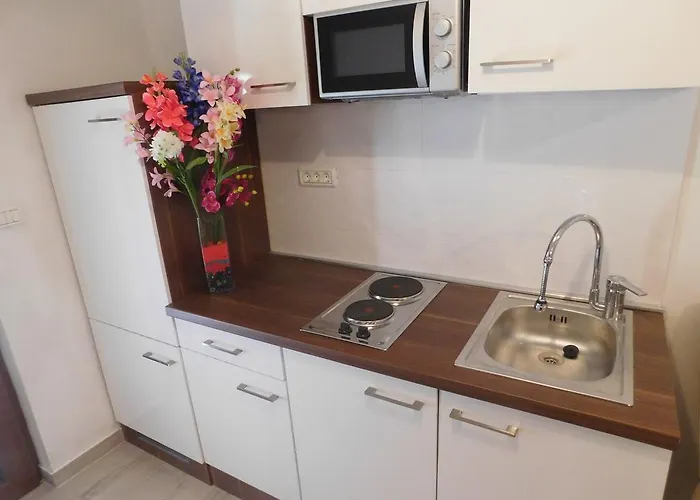 Διαμέρισμα Asterix Πούλα